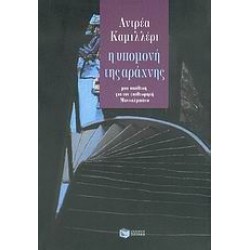 Η ΥΠΟΜΟΝΗ ΤΗΣ ΑΡΑΧΝΗΣ
