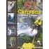 50 CANYONS IN CENTRAL GREECE