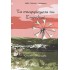 ΤΑ ΣΚΑΡΦΙΣΜΑΤΑ ΤΟΥ ΣΗΦΑΛΙΟΥ