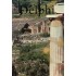 DELPHI